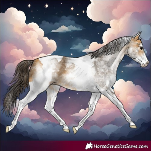 Horse Color:White Spotted Buckskin Tobiano 