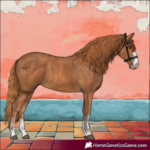 Horse Color:Chestnut 