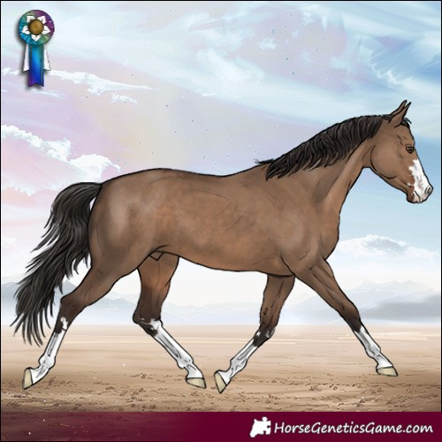 Horse Color:Liver Red Dun
