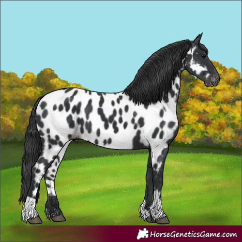 Horse Color:Unknown 