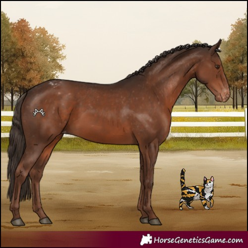 Horse Color:Liver Chestnut Varnish 