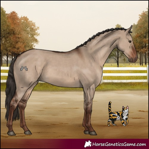Horse Color:Liver Red Dun
