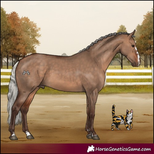 Horse Color:Silver Bay Dun 