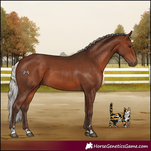 Horse Color:Silver Bay