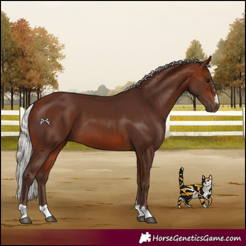 Horse Color:Silver Brown