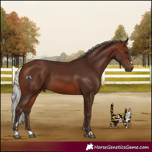 Horse Color:Silver Brown 