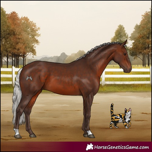 Horse Color:Silver Brown 
