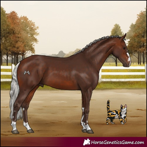 Horse Color:Silver Brown 
