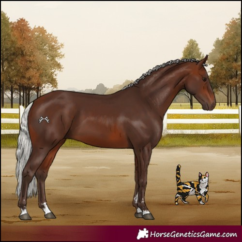 Horse Color:Silver Brown