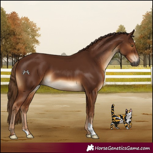 Horse Color:Gray Chestnut