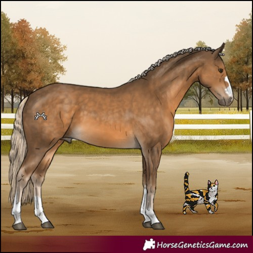 Horse Color:Chocolate Palomino