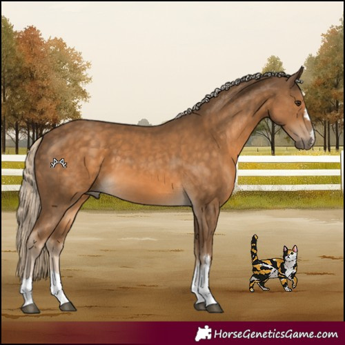 Horse Color:Chocolate Palomino