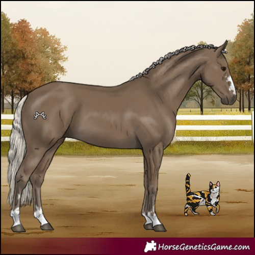 Horse Color:Silver Smoky Black 