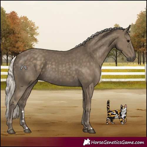 Horse Color:Silver Smoky Black
