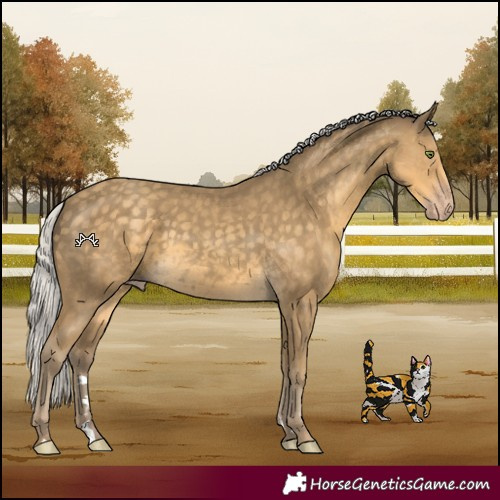 Horse Color:Silver Classic Cream Champagne 