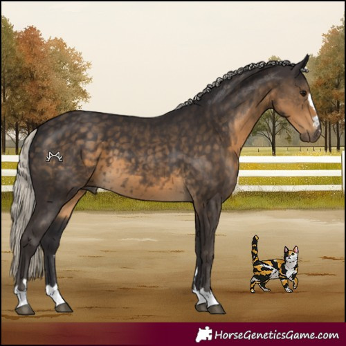 Horse Color:Silver Smoky Black 