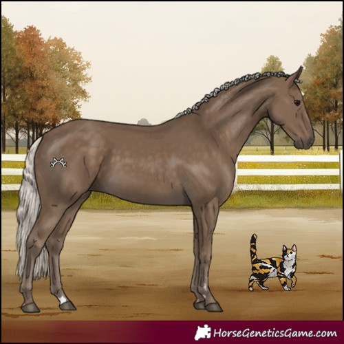 Horse Color:Silver Smoky Black 