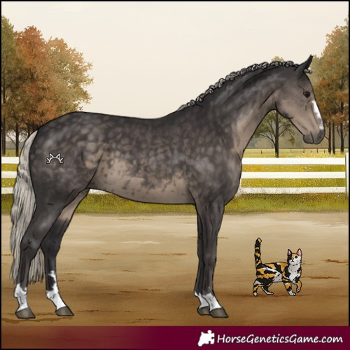 Horse Color:Silver Smoky Black 
