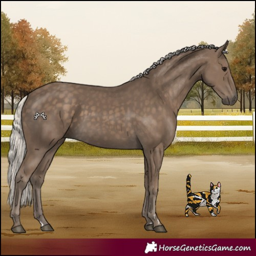 Horse Color:Silver Smoky Black 