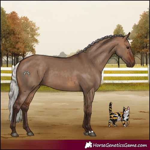 Horse Color:Silver Brown Dun 