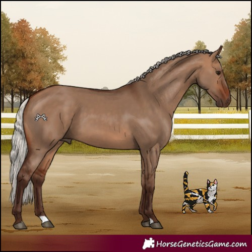 Horse Color:Silver Bay Dun 