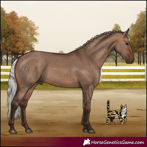 Horse Color:Silver Brown Dun