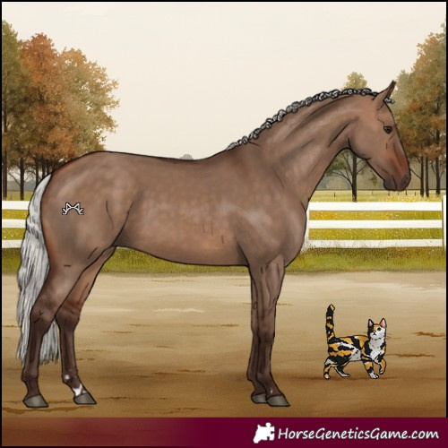Horse Color:Silver Brown Dun