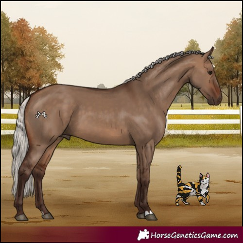 Horse Color:Silver Brown Dun