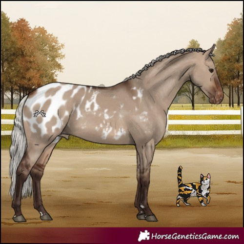 Horse Color:Silver Brown Dun Blanket
