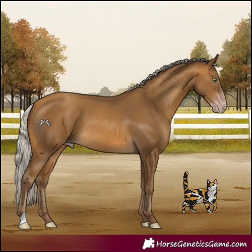 Horse Color:Gray Silver Sable Cream Champagne
