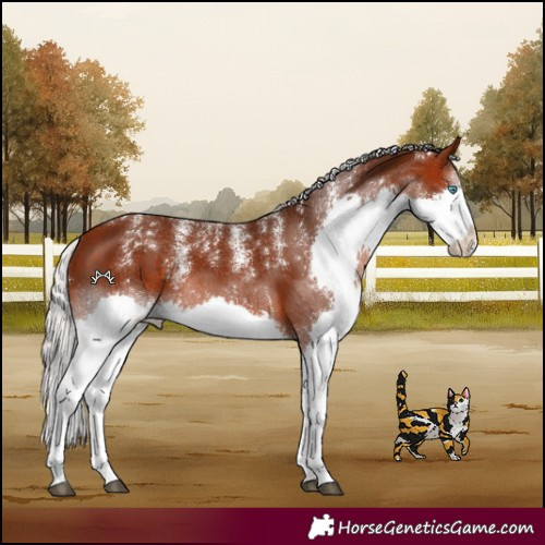 Horse Color:Powder White Silver Brown Splash 