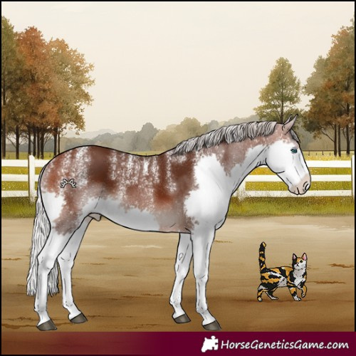 Horse Color:Powder White Silver Brown Splash 