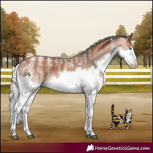 Horse Color:Powder White Silver Bay Splash