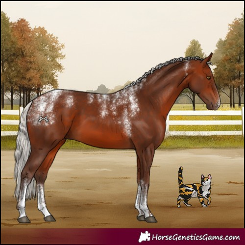 Horse Color:Powder White Silver Bay 