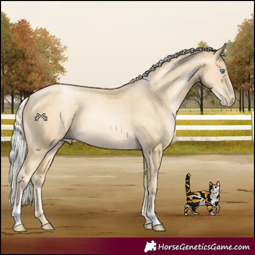 Horse Color:Silver Sable Cream Champagne Pearl 