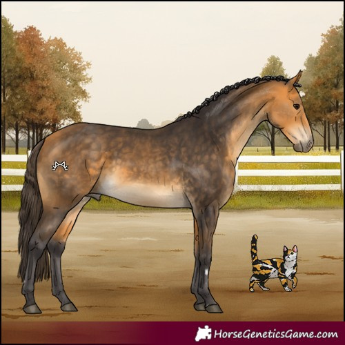 Horse Color:Buckskin