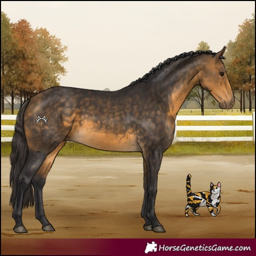 Horse Color:Buckskin Rabicano