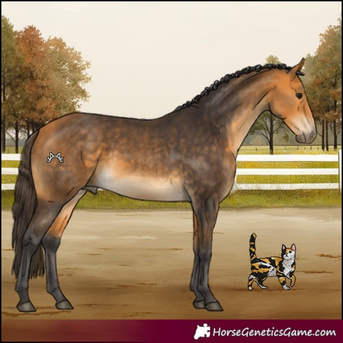 Horse Color:Buckskin Rabicano