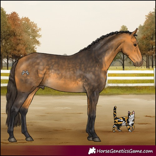 Horse Color:Buckskin Rabicano 