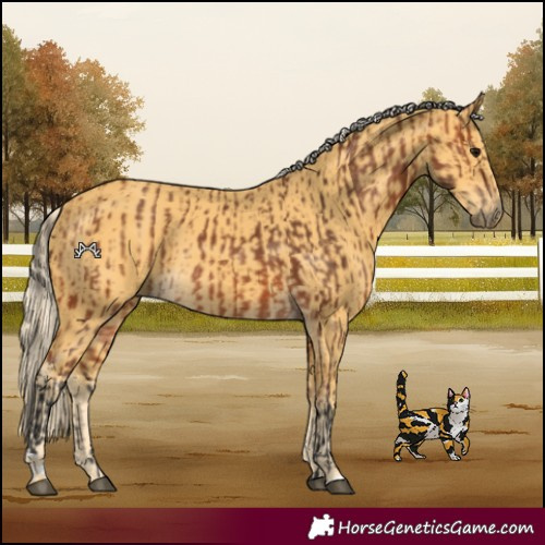 Horse Color:Bay Rabicano  and Palomino Rabicano 