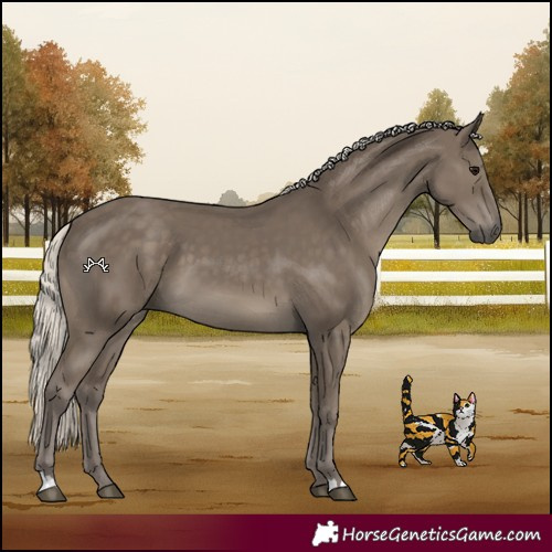 Horse Color:Silver Smoky Black 
