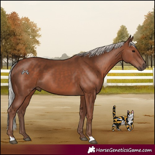 Horse Color:Silver Black 