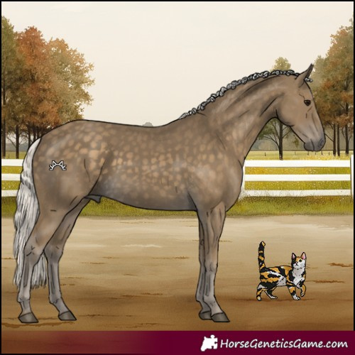 Horse Color:Silver Smoky Black 