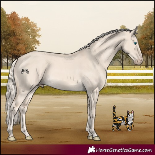 Horse Color:Cremello Dun
