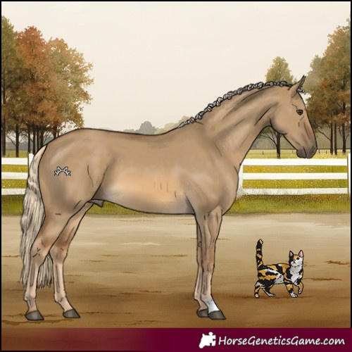 Horse Color:Chocolate Palomino Dun 