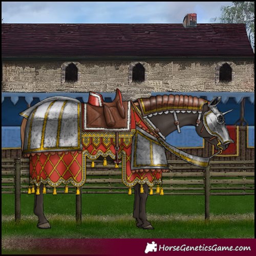 Horse Color:Liver Chestnut Rabicano 