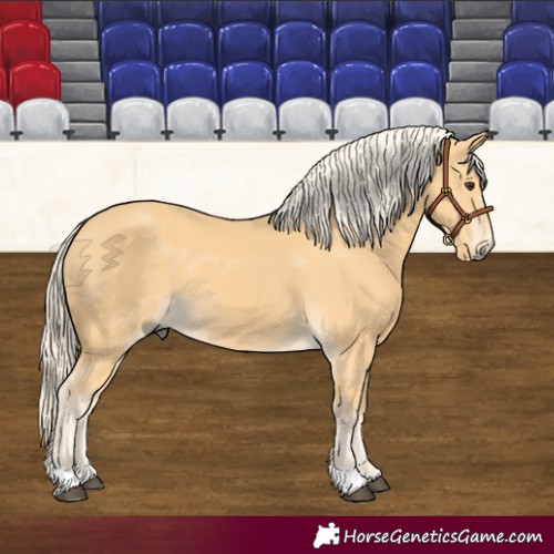 Horse Color:Palomino 