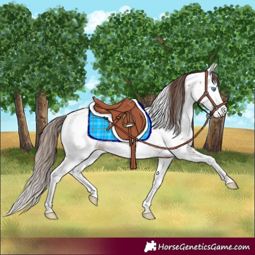 Horse Color:Bay Dun Splash Fewspot