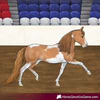 Horse Color:Chestnut Tobiano Frame Rabicano 