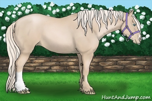 Horse Color:Palomino Pearl 